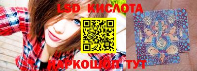 гидра Краснокаменск