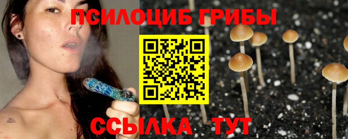 Кемерово  Псилоцибиновые грибы Magic Shrooms  где найти наркотики  Вход с VPN 