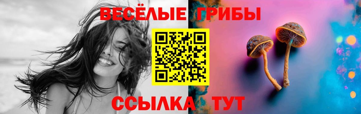 Галлюциногенные грибы GOLDEN TEACHER Кемерово